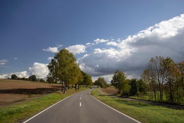 Asphalt Road View With Trees And Blue Sky