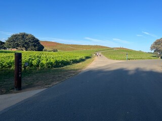 road in the countryside