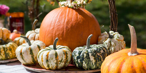 a festive display of pumpkins on a table 