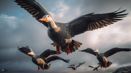 a group of geese flying in nature looking at the camera created with Generative Ai