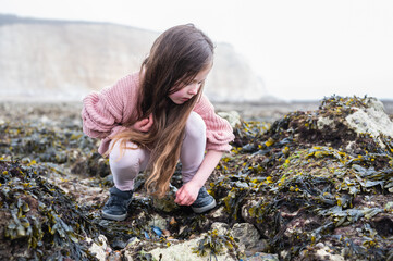 Little girl rock pooling and collecting sea shells at Hope Gap Beach between Seaford and...