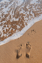 Hand and footprints in the sand on the beach at sunset.