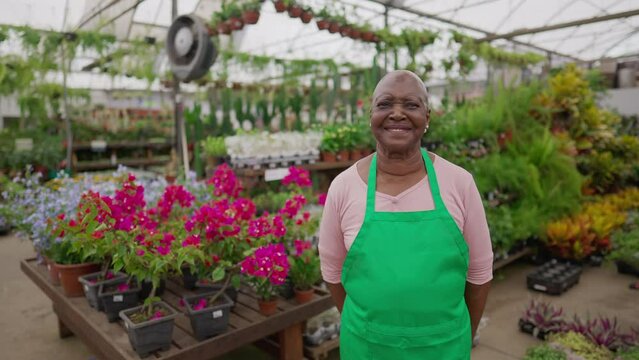An older florist female person. One Happy black senior woman wearing Apron standing inside Flower Shop portrait face close-up
