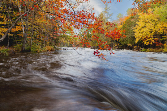 Rapids autumn in the forest