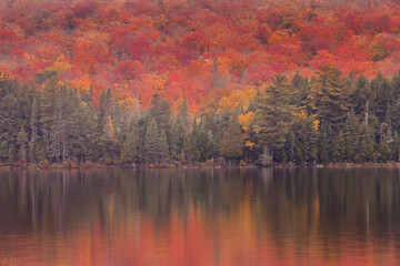 autumn landscape with lake and trees