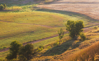 Field on sunrise