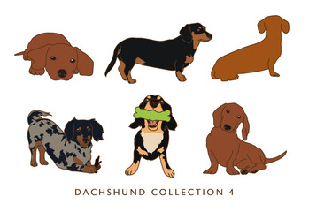 Dachshund Weiner Dog Illustration - In Color - Many Poses - Collection 4