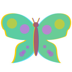 butterfly illustration