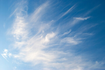cirrus clouds in the blue sky © svetlana177