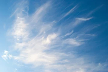 Poster cirrus clouds in the blue sky © svetlana177