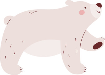 Arctic Bear Animal