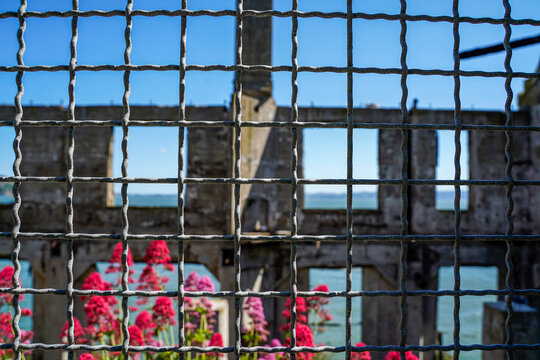 View through a chain link fence on the Alcatraz Island. San Francisco, California.