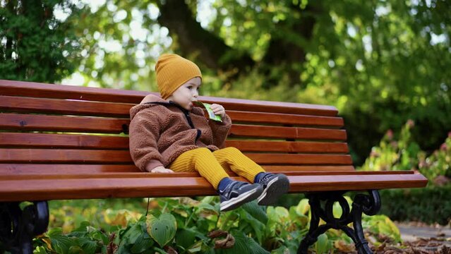 Little toddler sitting on the bench in autumn. Baby boy holding doypack in mouth eating fruit puree.