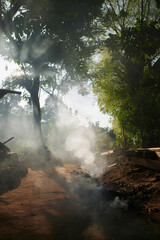 Fototapeta premium burning smoke and green nature