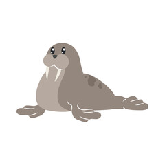 arctic walrus illustration