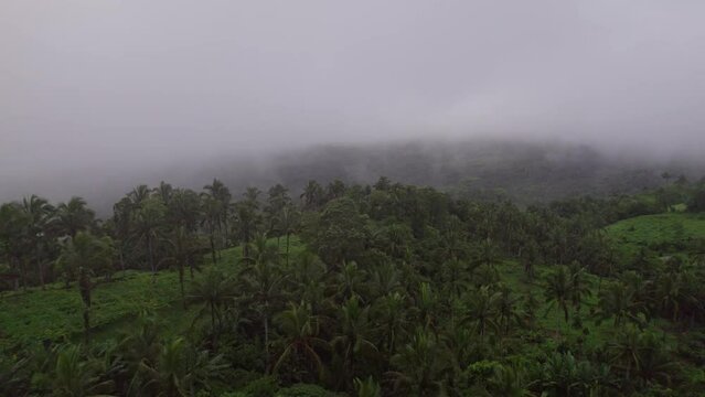 Drone's View Of Fog-enveloped Lush Landscapes