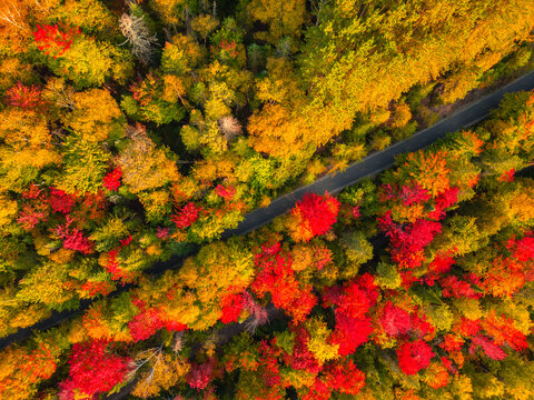 Aerial view of winding river in Laurentian mountains, Quebec, Canada during the fall foliage