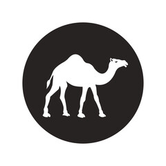 Camel icon