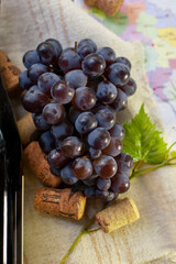 Winemaking concept. A bunch of grapes, a vine, part of a wine bottle and a cork. Against the background part of a map of Moldova. Selective focus.