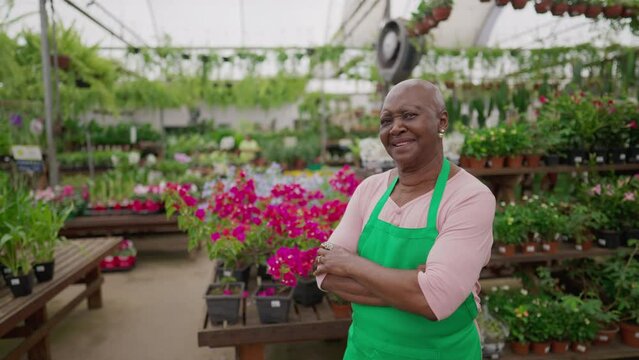Portrait of an African American older woman posing for camera with arms crossed standing inside Local Flower Shop. A black senior female employee wearing green apron