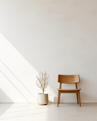 A minimalist concept featuring a chair and plant positioned in front of a wall.