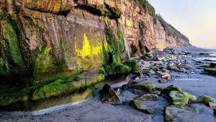 Sandstone Cliffs Encinitas California 1