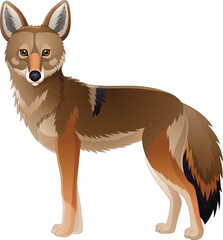 Cartoon coyote on white background