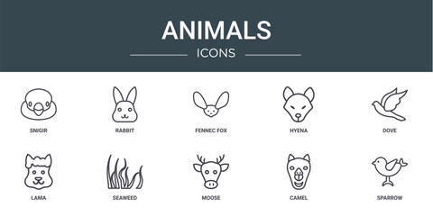 set of 10 outline web animals icons such as snigir, rabbit, fennec fox, hyena, dove, lama, seaweed vector icons for report, presentation, diagram, web design, mobile app