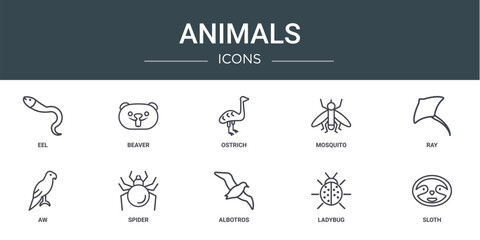 set of 10 outline web animals icons such as eel, beaver, ostrich, mosquito, ray, aw, spider vector icons for report, presentation, diagram, web design, mobile app