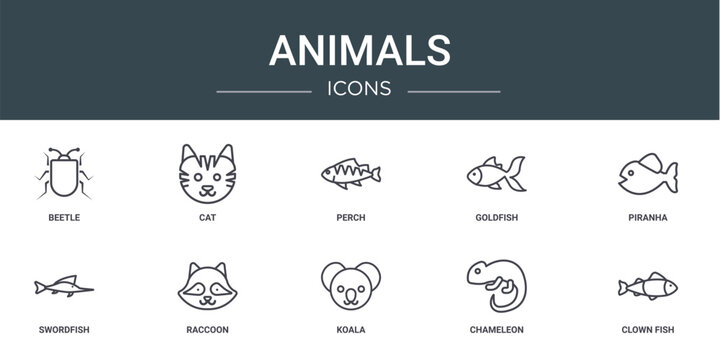set of 10 outline web animals icons such as beetle, cat, perch, goldfish, piranha, swordfish, raccoon vector icons for report, presentation, diagram, web design, mobile app