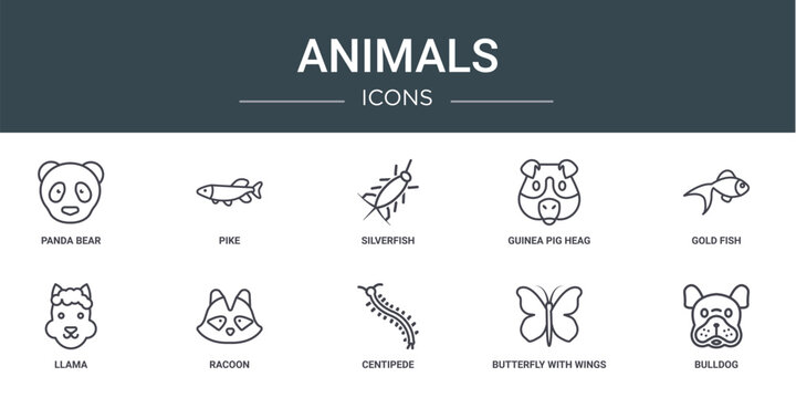 set of 10 outline web animals icons such as panda bear, pike, silverfish, guinea pig heag, gold fish, llama, racoon vector icons for report, presentation, diagram, web design, mobile app