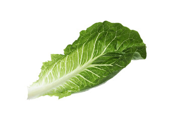 Fresh leaf of green romaine lettuce isolated on white