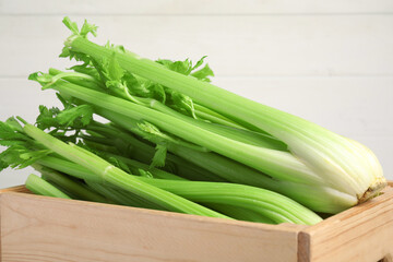 Fototapeta premium Wooden box with fresh celery bunches, closeup