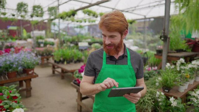 Young man using tablet to browse inventory walking inside Flower Shop. A male employee wearing green apron holding inspecting store with modern technology