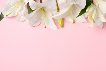 Fototapeta premium Beautiful white lily flowers on pink background, flat lay. Space for text