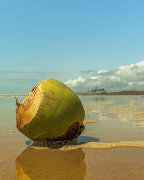 Coconut water on a beach walk.