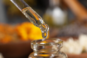 Dripping herbal essential oil from pipette into bottle on blurred background, closeup