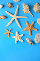 Fototapeta na wymiar Many starfishes and shells on blue background, flat lay. Space for text