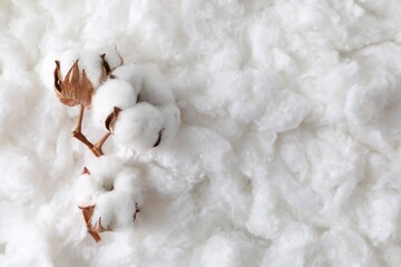 Soft flowers on clean cotton, top view. Space for text
