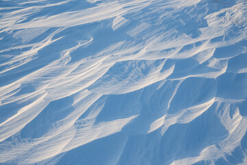 Snow texture. Wind sculpted patterns on snow surface. Wind in the tundra and in the mountains on the surface of the snow sculpts patterns and ridges (sastrugi). Arctic, Polar region. Winter background - obrazy, fototapety, plakaty