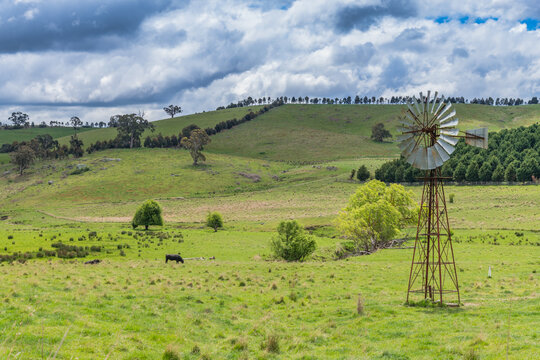 Australian rural countryside on a cloudy Spring day
