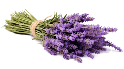 Fotobehang Bundle of lavender, transparent background (PNG) © Georgina Burrows