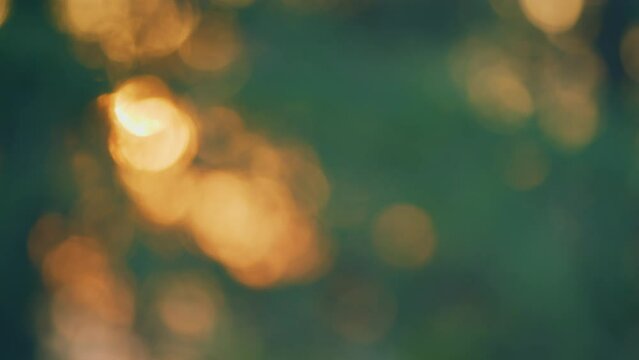 Nature Background. Green Bokeh Out Of Focus Background From Nature Forest. Very Nice Colors. Blur.