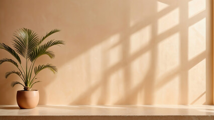 Palm trees and wall backgrounds