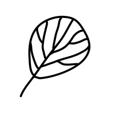 Leaf nature doodle