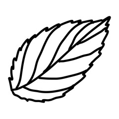 Leaf nature doodle