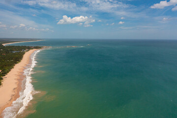 Tropical beach with palm trees. Sri Lanka. Summer and travel vacation concept.