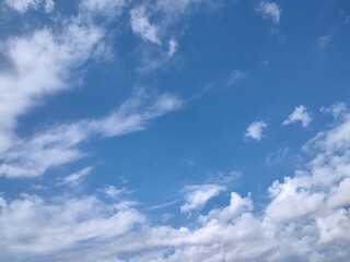 Fototapeta premium 東京のそら(23.10.18)