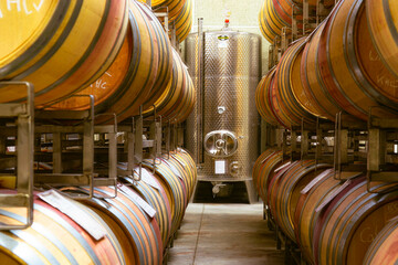 modern wine cellar in a winery with wooden barrels and stainless steel silos