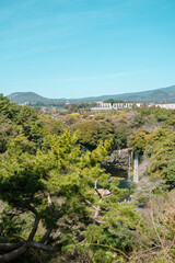 Fototapeta na wymiar Cheonjiyeon waterfall and green forest park view in Jeju island, Korea